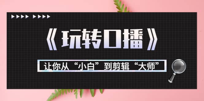 月营业额700万 大佬教您《玩转口播》让你从“小白”到剪辑“大师”