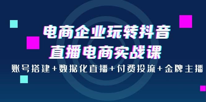 电商企业玩转抖音直播电商实战课：账号搭建 数据化直播 付费投流 金牌主播