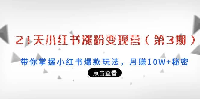 21天小红书涨粉变现营（第3期）：带你掌握小红书爆款玩法，月赚10W 秘密