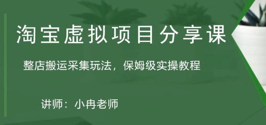 淘宝虚拟整店搬运采集玩法分享课：整店搬运采集玩法，保姆级实操教程