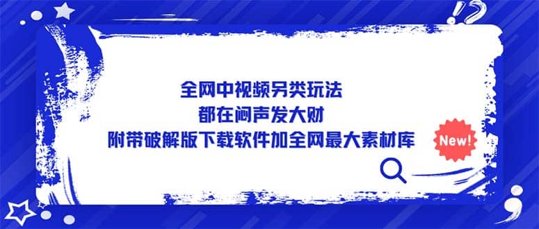 全网中视频另类玩法，都在闷声发大财，附带下载软件加全网最大素材库