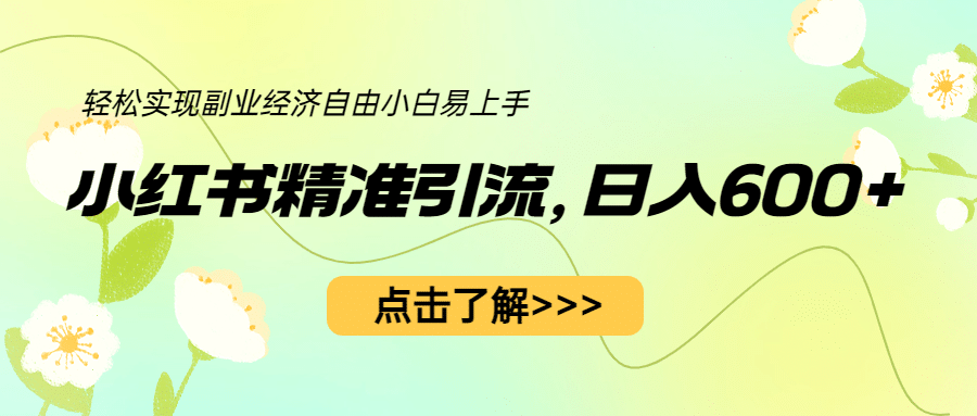 小红书精准引流，小白日入600 ，轻松实现副业经济自由（教程 1153G资源）