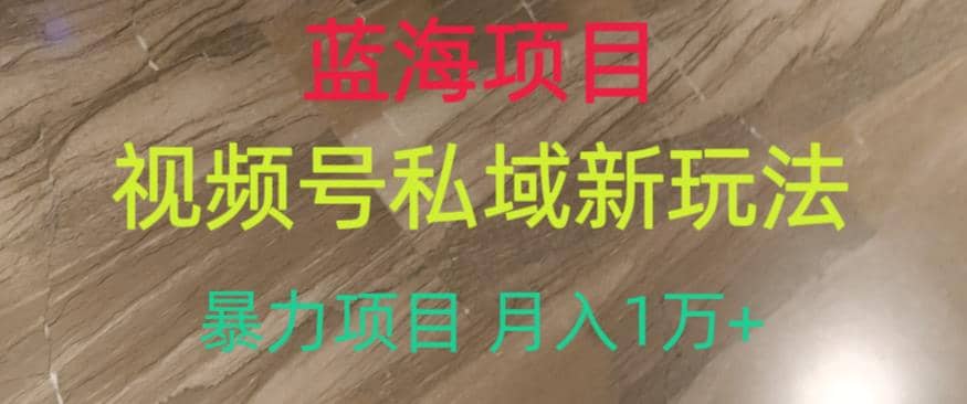 蓝海项目，视频号私域新玩法，暴力项目月入1万 【揭秘】