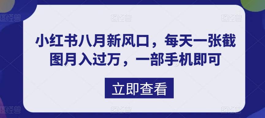 八月新风口，小红书虚拟项目一天收入1000 ，实战揭秘