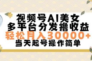 视频号AI美女，轻松月入30000+,操作简单轻松上手