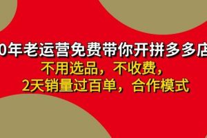 拼多多 最新合作开店日收4000+两天销量过百单，无学费、老运营代操作、...