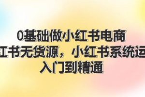 0基础做小红书电商，小红书无货源，小红书系统运营，入门到精通 (70节)