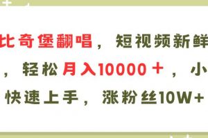 AI比奇堡翻唱歌曲，短视频新鲜赛道，轻松月入10000＋，小白快速上手，...