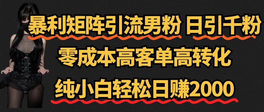 暴利矩阵引流男粉（日引千粉），零成本高客单高转化，纯小白轻松日赚2000+