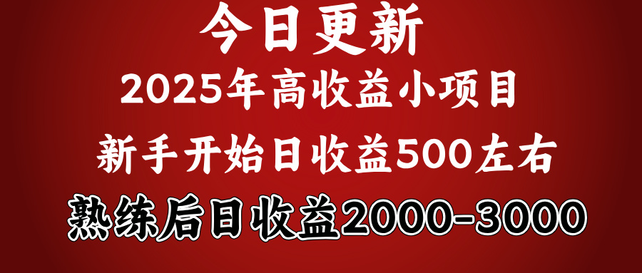 2025开年好项目，新手日收益500+ 熟练掌握后，日收益平均2000多