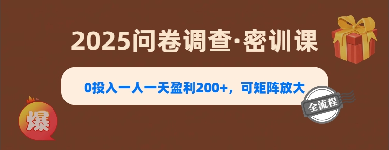 2025《问卷调查》0投入一人一天盈利200+，可矩阵放大