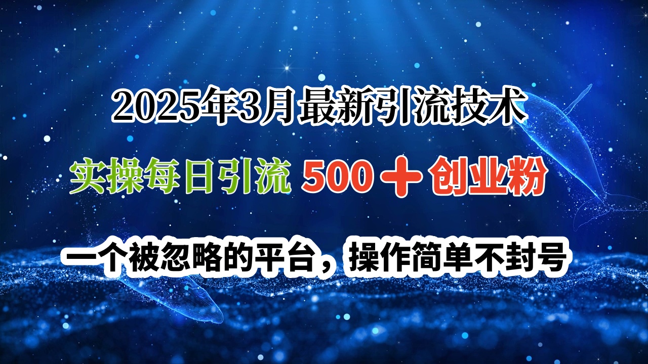 2025年3月最新引流技术，实操每日引流500➕创业粉，一个被忽略的平台，操作简单不封号